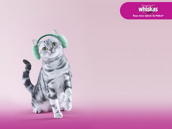 Ваша киска купила бы Whiskas - лучшие рекламные плакаты с котятами