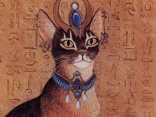 Кошка - священное животное! Почему египтяне любили кошек?