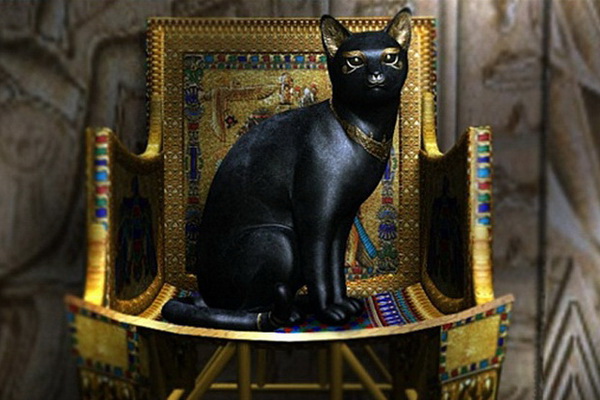 Кошка - священное животное! Почему египтяне любили кошек?