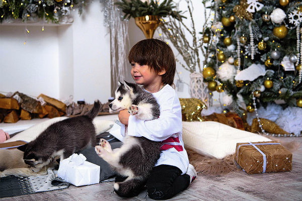 Стас Пьеха показал фото с сыном на Новый год